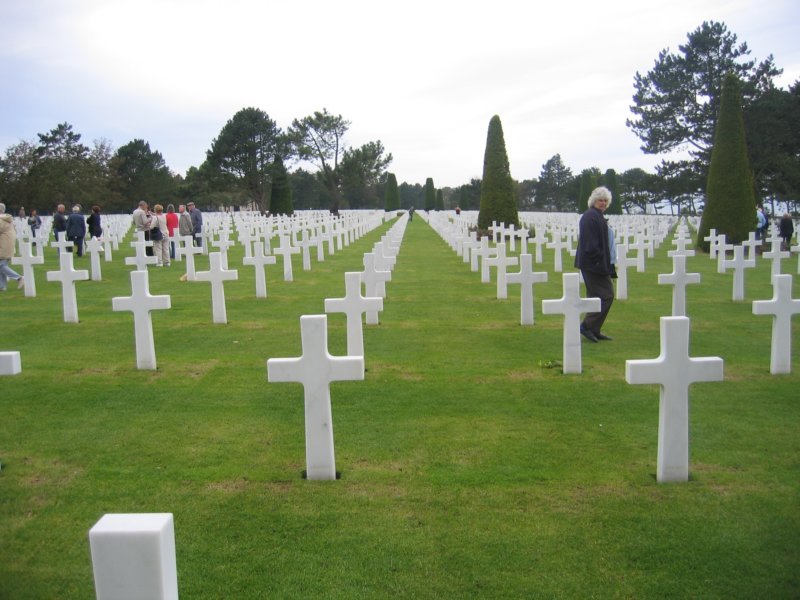endlessrow.jpg