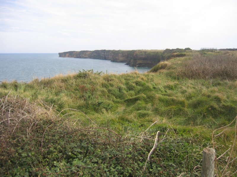 shoreline.jpg
